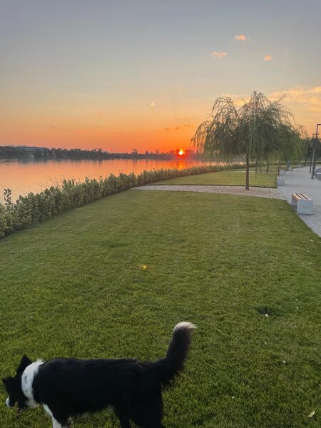 Pantelimon Lebada Residence 2 camere superb priveliste minunata 10 min. M